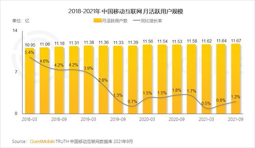 移動(dòng)互聯(lián)網(wǎng)研發(fā)與維護(hù) 中國(guó)市場(chǎng)的實(shí)踐啟示